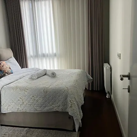 4+1 *